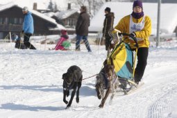 Lenk 2012 SM